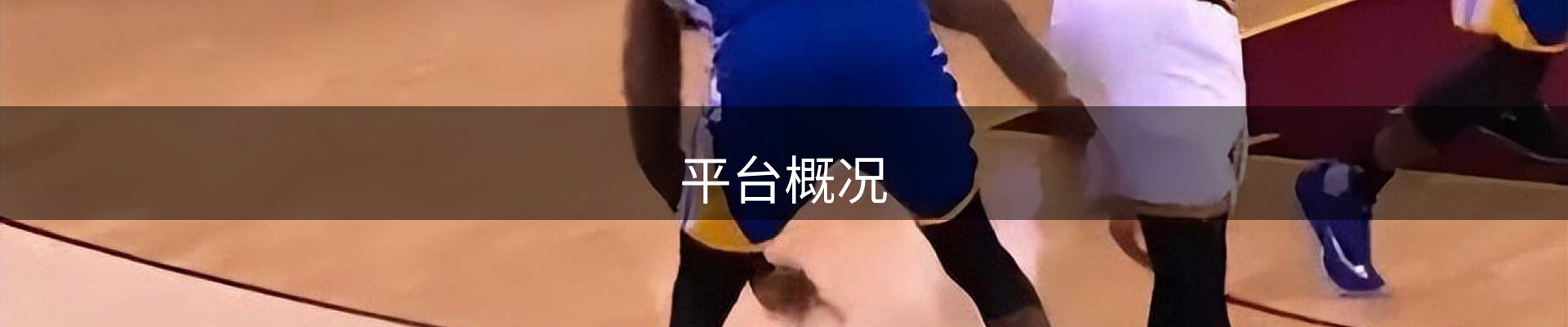 平台概况